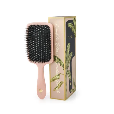 fan palm paddle brush